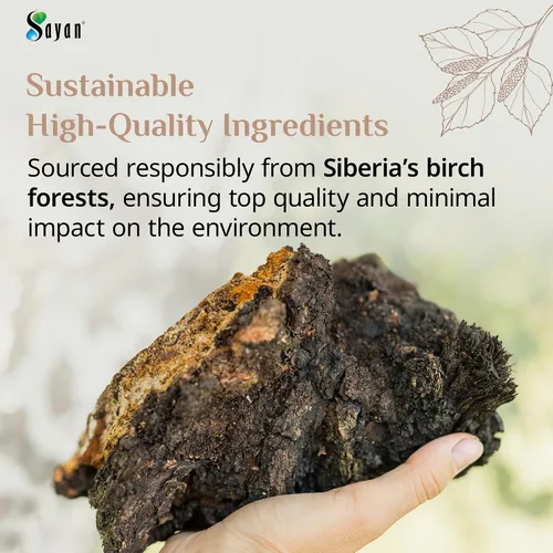 Vista 5 de Polvo extracto hongo chaga siberiano. Súper antioxidante, ayuda al sistema inmune., 2 onza, 1