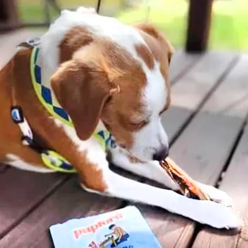 Vista 6 de Pupford Masticables de tendón de carne estándar para perros y cachorros, masticables totalmente naturales con glucosamina para la salud