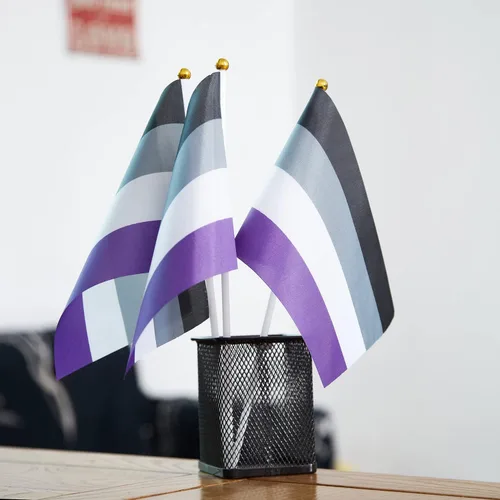 Vista 5 de GentleGirl Paquete de 12 banderas de arco iris del orgullo asexual, pequeñas banderas de mano gay LGBT Festival Fiesta Desfiles Decoraciones