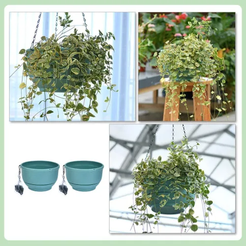 Vista 8 de Cabilock Cesta de riego automático, 2 piezas, maceta colgante de riego automático para interiores y exteriores, cesta colgante de plantas verdes