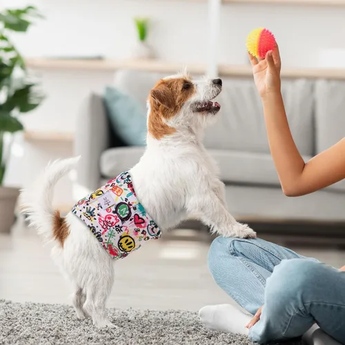 Vista 8 de CuteBone - Pañales lavables para perro macho, banda abdominal, paquete de 3 unidades, color negro, modelo DM54XS