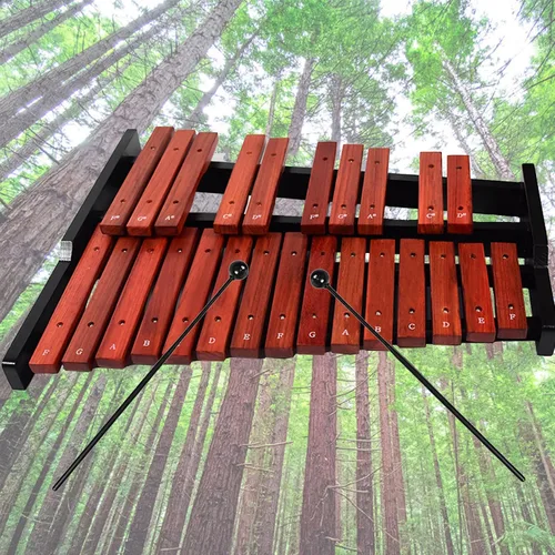 Vista 6 de TNZMART Xilófono de madera de 25 notas xilófonos Glockenspiel con mazo Instrumento de percusión profesional (xilófono)
