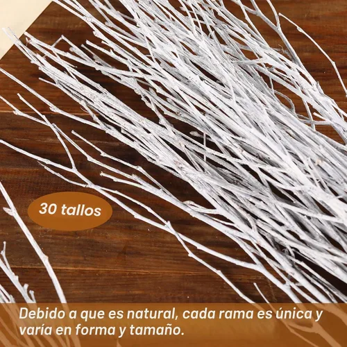 Vista 2 de 40 ramitas de abedul secas reales, ramas de abedul decorativas blancas de 17 pulgadas para jarrón, centro de mesa, decoración de boda, palos