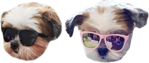 Vista 12 de G014 Dog Cat Pet - Gafas de sol de los años 80 para razas pequeñas de hasta 15 libras (paquete de 2 unidades, negro + espejo negro-azul)