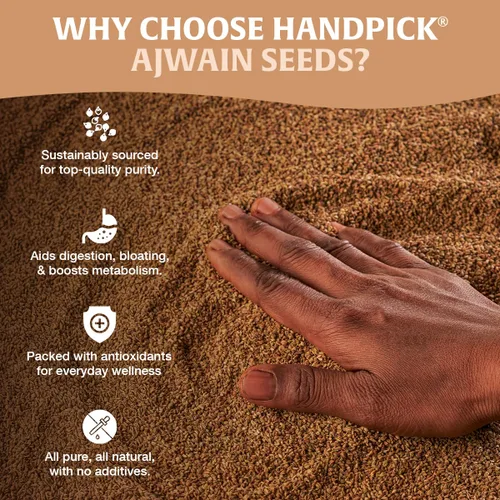 Vista 5 de HANDPICK Ajwain Seeds - Semillas enteras de Carom (14 onzas), veganas, sin gluten, sin OMG, obispos de carom crudas, origen indio, empaquetadas
