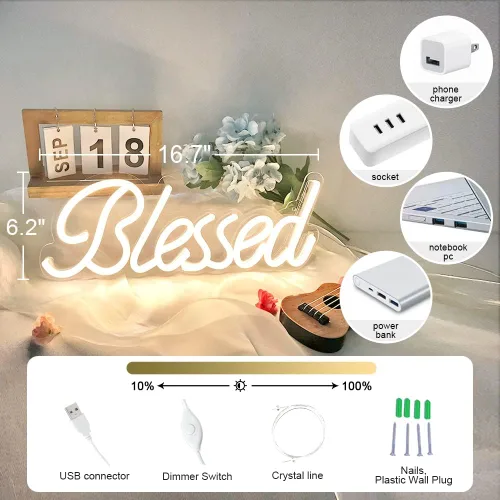 Vista 4 de DIVATLA Letrero de neón bendecido para decoración de pared, letreros con luz LED para dormitorio, regulable y reutilizable para oficina, estudio