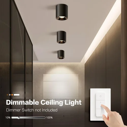 Vista 4 de OKELI Lámpara de Techo LED Moderna de Montaje al Ras COB 20W 4000K Luces de Techo Cilíndricas, Lámparas de Iluminación Regulables para Pasillo