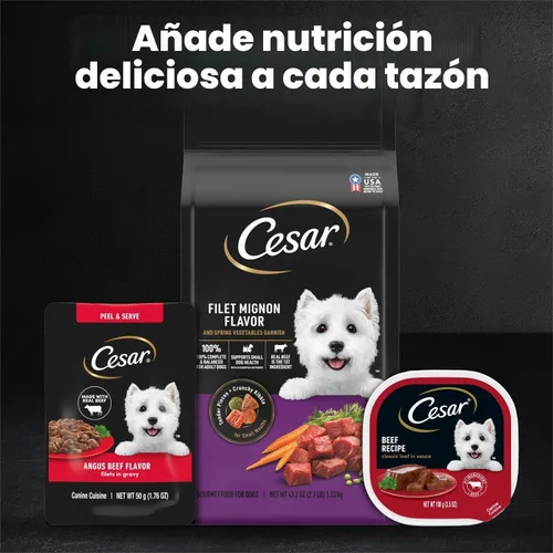 Vista 7 de Cesar Mini-Pouch - Alimento húmedo para perros, sabor a carne Angus, 1.76 onzas, 20