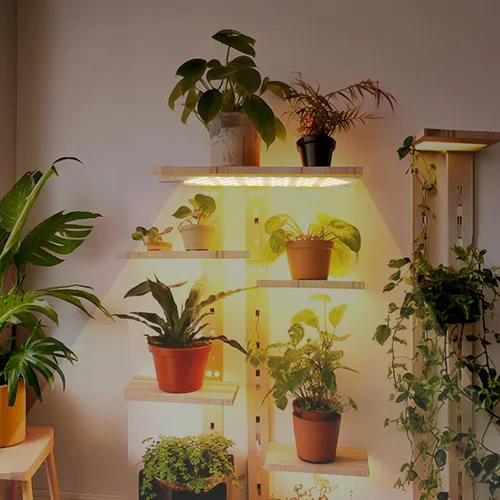 Vista 8 de Rocoking Luces de cultivo para plantas de interior, lámpara de cultivo de panel ultrafino, 158 luces LED de espectro completo para plantas debajo