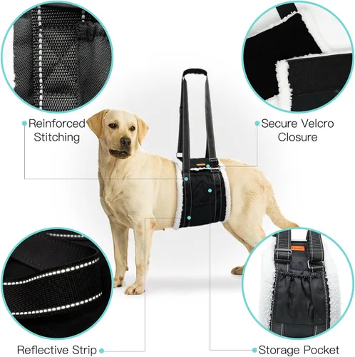 Vista 7 de LumoLeaf Arnés de elevación para perros para patas traseras, soporte ajustable para piernas traseras y ayuda de movilidad, soporte de cadera