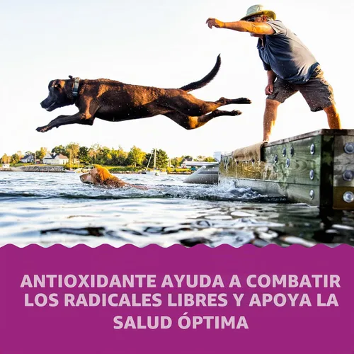 Vista 4 de Grizzly Wild - Suplemento antioxidante natural de aceite de krill antártico para perros, 8 onzas