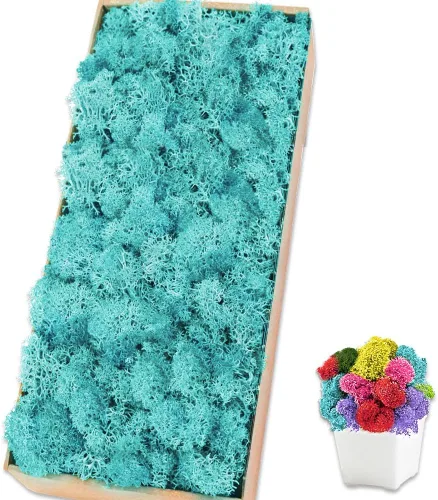 Vista 15 de Musgo de reno azul de 3.5 onzas, musgo preservado para plantas, decoración de musgo, musgo verde para manualidades, musgo para plantas en maceta
