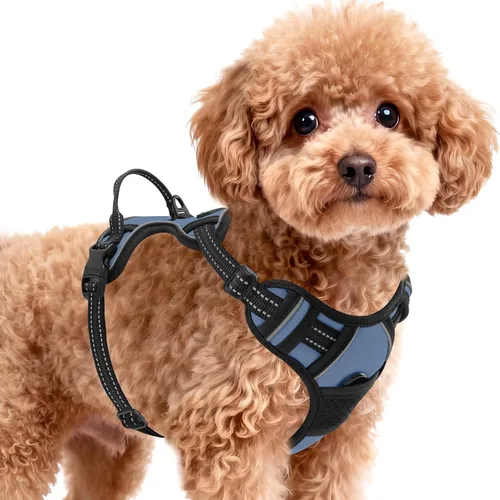 Vista 12 de BARKBAY Arnés para perro sin tirones para perros pequeños, ajustable, reflectante, cómodo, sin estrangulamiento, resistente, perfecto para Negro