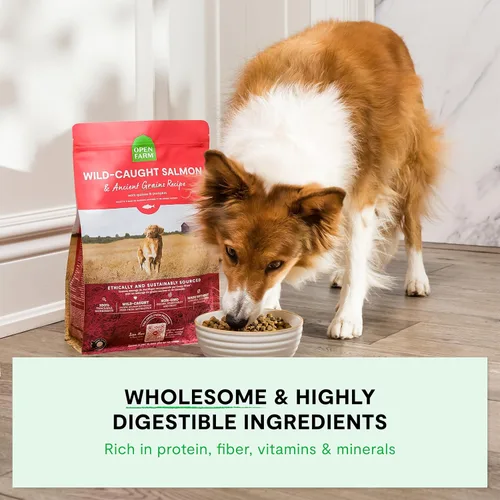Vista 3 de Open Farm - Alimento seco para perros con cerdo y granos ancestrales, receta de cerdo criado de forma humanitaria con granos sanos, sin saborizantes