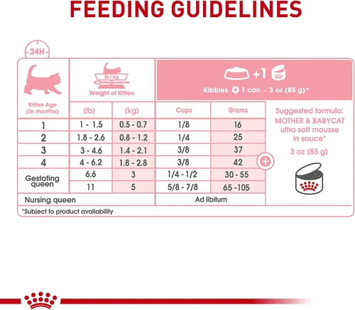 Vista 7 de Royal Canin Feline Health Nutrition Mother & Babycat Queen - Mousse en salsa ultra suave para gatos, 3 onzas (paquete de 6)