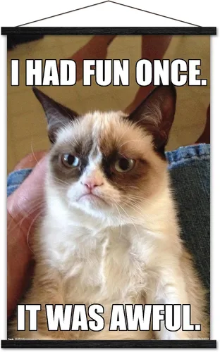 Vista 8 de Trends International Grumpy Cat - Póster de pared divertido, 22.375 x 34 pulgadas, versión enmarcada plateada Versión con marco plateado