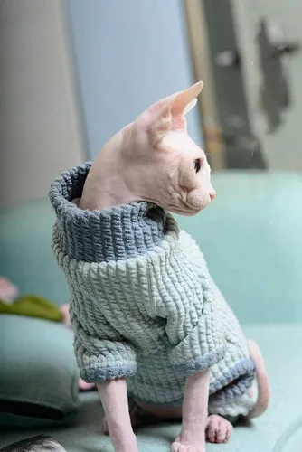 Vista 2 de Ropa para gatos sin pelo, suéter de algodón, transpirable, otoño e invierno, ropa cálida para gato, chaleco de cuello alto, ropa para Sphynx
