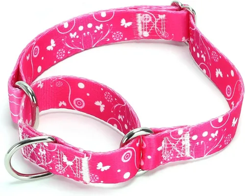 Vista 32 de Collar de perro de nailon resistente, collar ajustable de martingala para perros para caminar y entrenamiento para perros machos y hembras perros