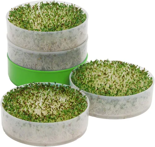 Vista 4 de Deluxe 4 bandejas para el cultivo en el hogar de brotes de semillas de VICTORIO VKP1200