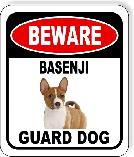 Vista 103 de BEWARE BASSETT HOUND GUARD DOG - Letrero compuesto de aluminio para exteriores, 8.5 x 10 pulgadas CUIDADO BASSETT HOUND GUARD PERRO