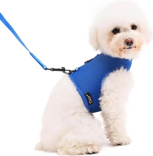 Vista 10 de Teacup - Juego de arnés y correa para perro pequeño para invierno, chaleco acolchado suave ajustable para taza de té, chihuahua, caniche, yorike