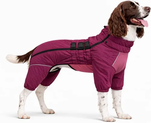Vista 31 de Abrigo cálido para perros de doble capa, chaleco para perros, 4 patas cubiertas, resistente al viento, impermeable, reflectante, gris XS - L
