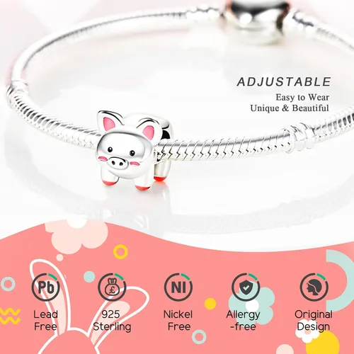 Vista 4 de NUJIFFY Cuentas de plata de ley 925 para pulseras y collares, cuentas de cristal para hermana de pasaporte de avión, pulseras de ángulo de corazón