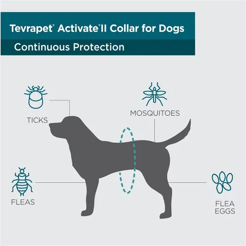 Vista 3 de TevraPet Activate II Collar antipulgas y garrapatas para perros, prevención de 6 meses, 1 unidad, talla única