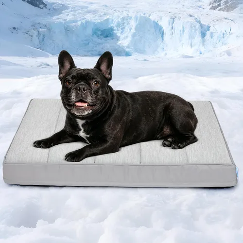 Vista 53 de Tapete refrescante para perros pequeños, almohadilla ortopédica de espuma viscoelástica de 24 x 18 pulgadas para verano, QMAX>0.5, almohadilla