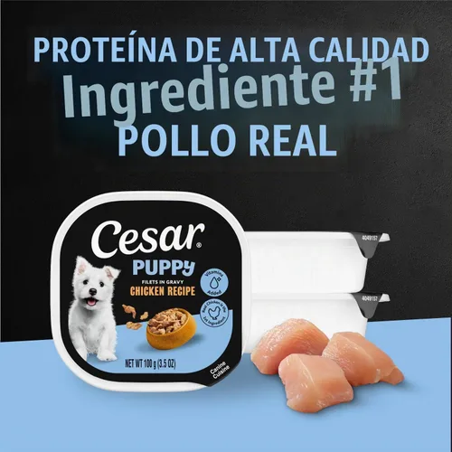 Vista 4 de Cesar Puppy Filets in Salsa Alimento húmedo para perros, pollo, 3.5 onzas