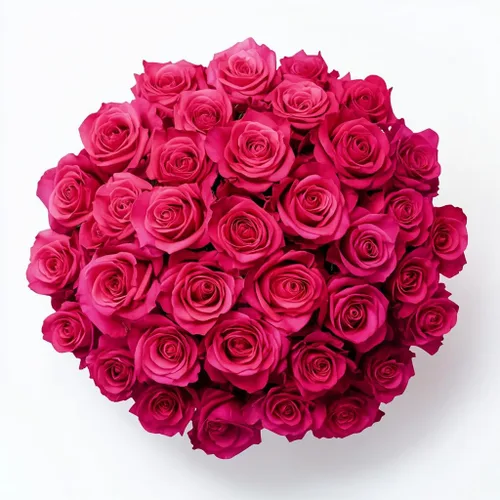 Vista 29 de GlobalRose Ramo de 50 rosas surtidas, rosas de origen responsable, flores frescas, ramo fresco de flores seleccionadas a mano para el día