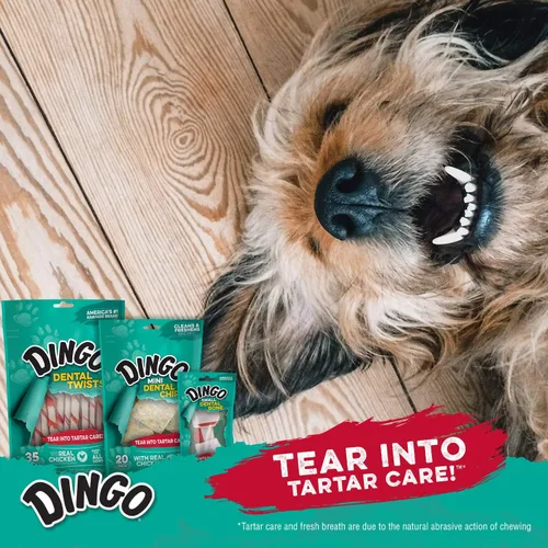 Vista 5 de Palillos dentales Dingo 48 unidades, acción de masticación natural ayuda a limpiar los dientes