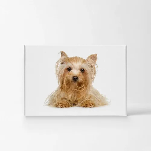 Vista 2 de Diseño de arte de la sonrisa Retrato de lindo Yorkie Yorkshire Terrier perro animal lienzo de pared impresión arte del dueño de mascotas amante