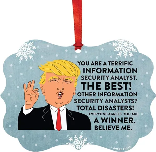 Vista 88 de Andaz Press Presidente Donald Trump Fancy Frame Recuerdo Adorno de Navidad Regalo de broma Ejecutivo de Cuenta, 1 paquete, Divertidas Ideas