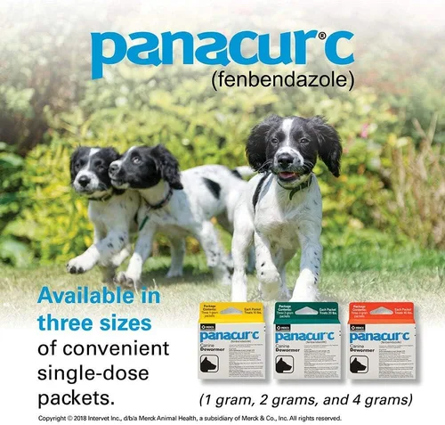 Vista 5 de Panacur C desparasitante canino (fenbendazol), 4 gramos, 3 unidades (Paquete de 1), rojo