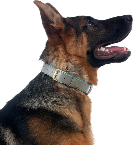 Vista 2 de collar clásico para perro de piel auténtica suave y transpirable, impermeable, para perros grandes y medianos pequeños