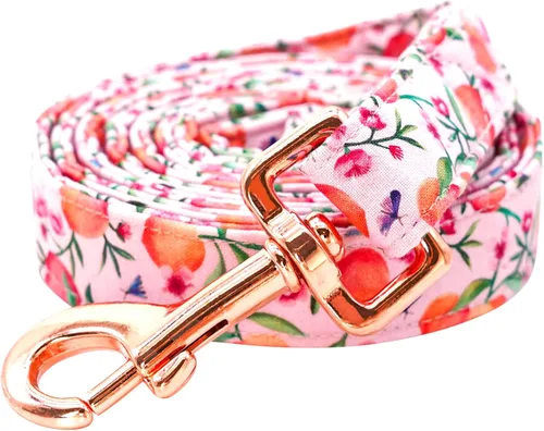Vista 7 de Lionheart Glory Correa rosa para perro con mango suave y cómodo, duradera para perros pequeños, medianos y grandes