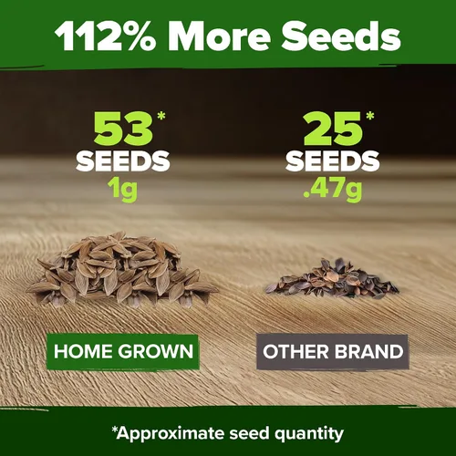 Vista 7 de HOME GROWN Flower Seed Trio - Más de 430 semillas de Estados Unidos sin OMG Lila blanca japonesa, calabazas Luffa y Gloria de la mañana Alta