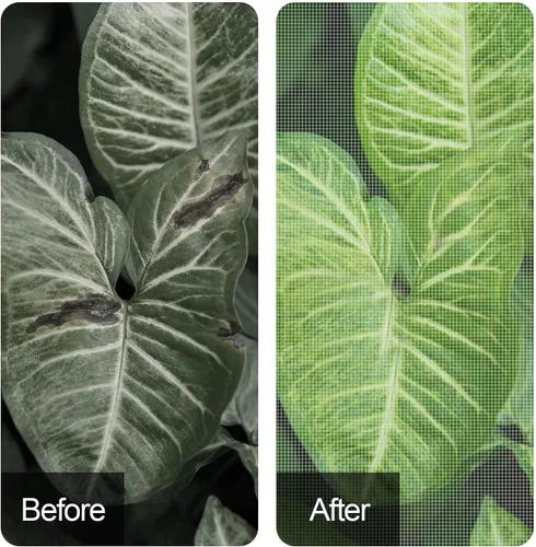 Vista 5 de Alpurple - Cubiertas de invierno para plantas con protección contra la congelación - Cubierta cálida rectangular para protección de plantas, manta