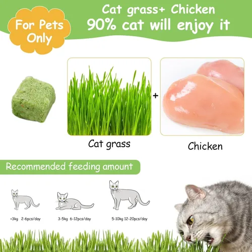Vista 2 de 60g de hierba gatera para gatos, snacks de hierba gatera deshidratados al congelar para la dentición de gatitos, juguetes masticables comestibles
