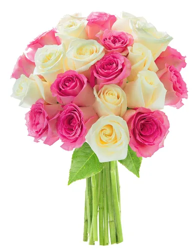 Vista 47 de KaBloom - Rosas arcoíris (media docena)- Flores frescas para cumpleaños, San Valentín y Día de la Madre