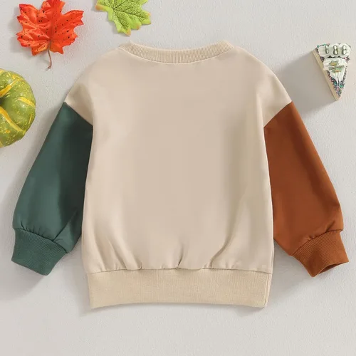 Vista 93 de YINGISFITM Sudadera de manga larga con cuello redondo para bebé, niña, niño, Navidad, suéter de manga larga, ropa de otoño