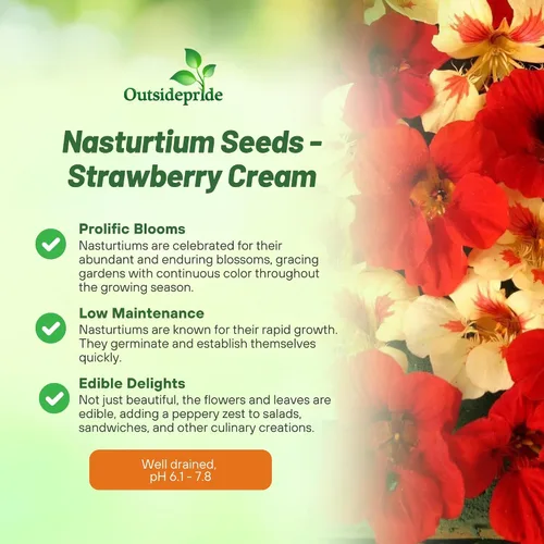 Vista 3 de Outsidepride Semillas de capuchina en crema de fresa, 25 unidades, anuales, fáciles de cultivar y versátiles, semillas de flores para plantar flores