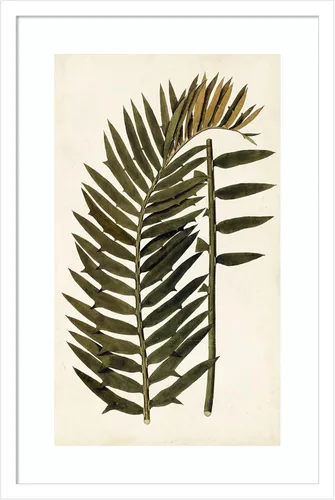 Vista 10 de Amanti Art Vision Studio - Lienzo decorativo para pared, 24 x 17 pulgadas, variedades de hojas VIII, arte de pared de naturaleza, decoración