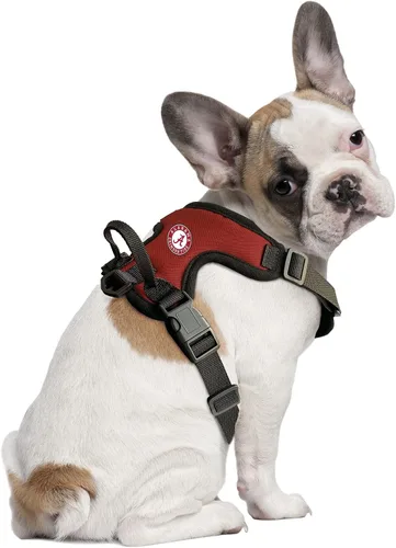 Vista 2 de Littlearth NCAA Ohio State Buckeyes Pet Front Clip Harness, Team Color, Large