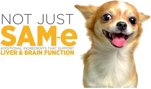 Vista 3 de maxxipaws SAM-e Digest Bundle – MaxxiSAMe Advanced SAM-e Apoyo SAM-e para perros y maxxidigest+ suplemento digestivo e inmunológico canino