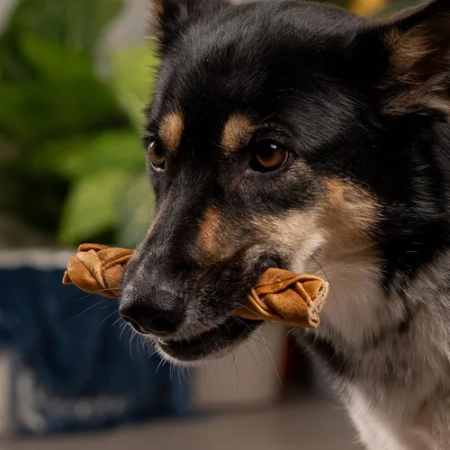 Vista 2 de Pet Factory CareChewz - Golosinas trenzadas delgadas de colágeno de 6 a 7 pulgadas para masticar para perros, sabor a pollo, 5 unidades/1 paquete