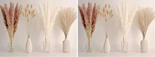 Vista 10 de 10 tallos de hierba de las pampas de 40 pulgadas de alto en color beige natural, añade un toque bohemio a tu espacio: hierba de las pampas ideal