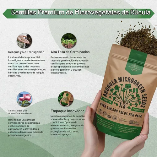 Vista 6 de Organo Republic Semillas de Rúcula para Germinación y Microgreens - Kit de Semillas de Brotes Sin OGM, Reliquia, Bolsa Resellable de 1 libra