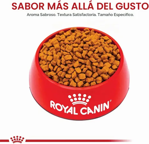 Vista 8 de ROYAL CANIN Boxer Puppy - Alimento seco para perros, bolsa de 30 libras